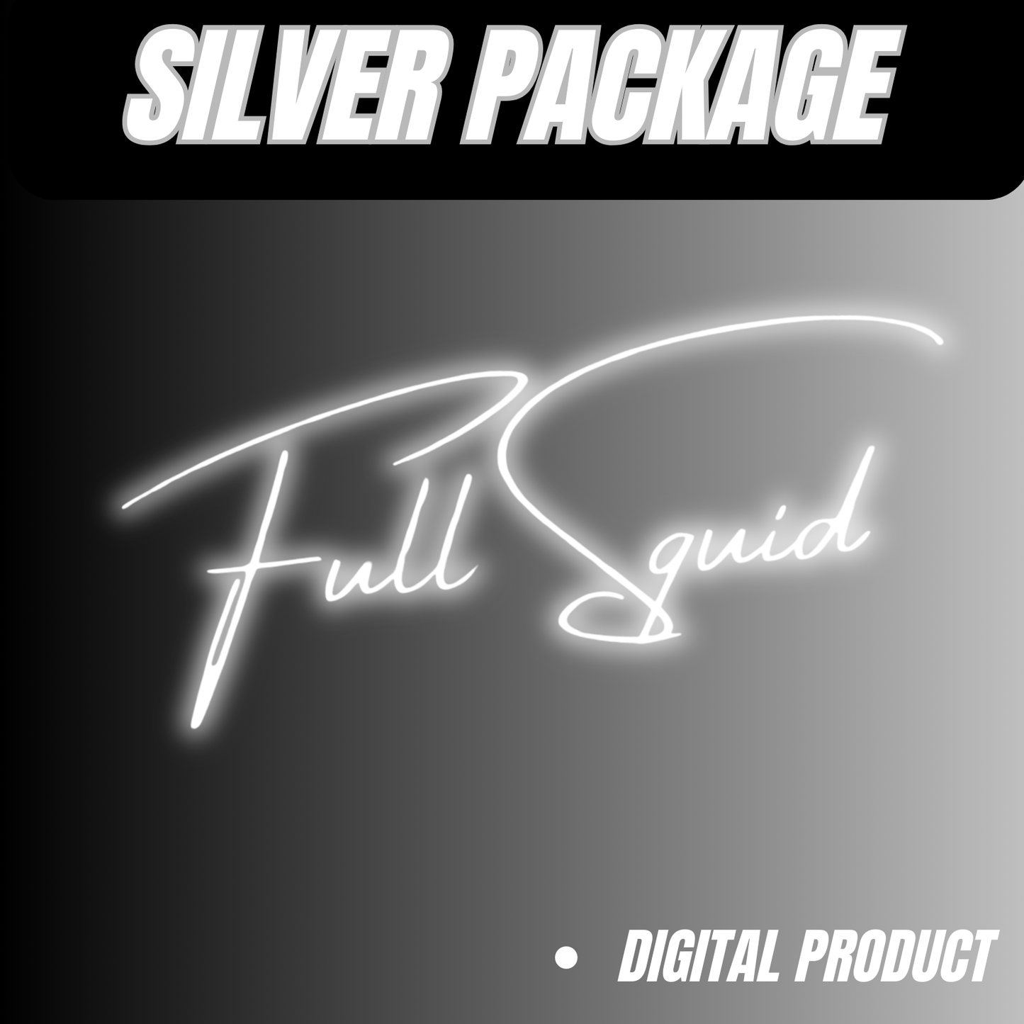 SILVER QUICK ENTRY - DIGITAL PRODUCT